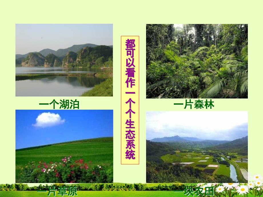 2012年秋七年级生物上册 第一单元 第二章 第五节 生物与环境组成生态系统课件 新人教版_第3页