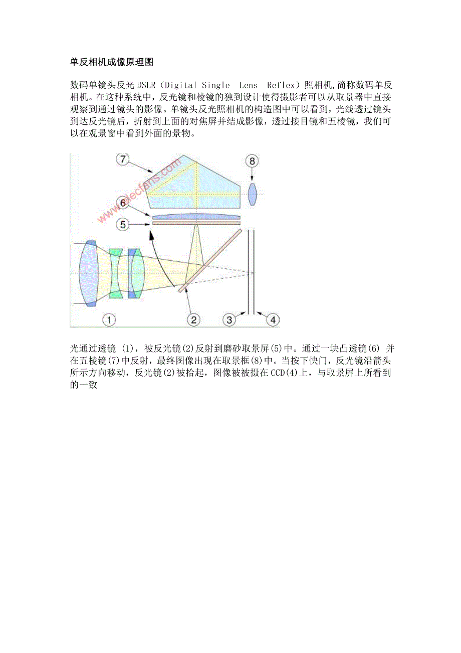 单反相机的工作原理_第1页