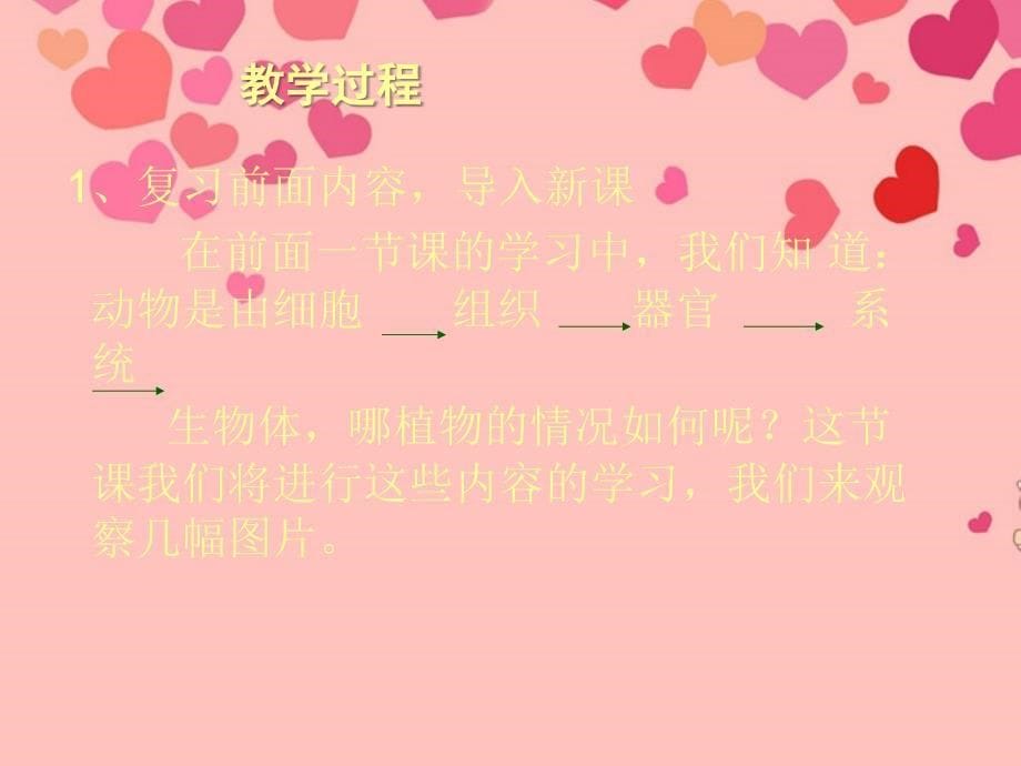 2012年秋七年级生物上册 第四章 第二节 生物体的器官、系统课件 北师大版_第5页