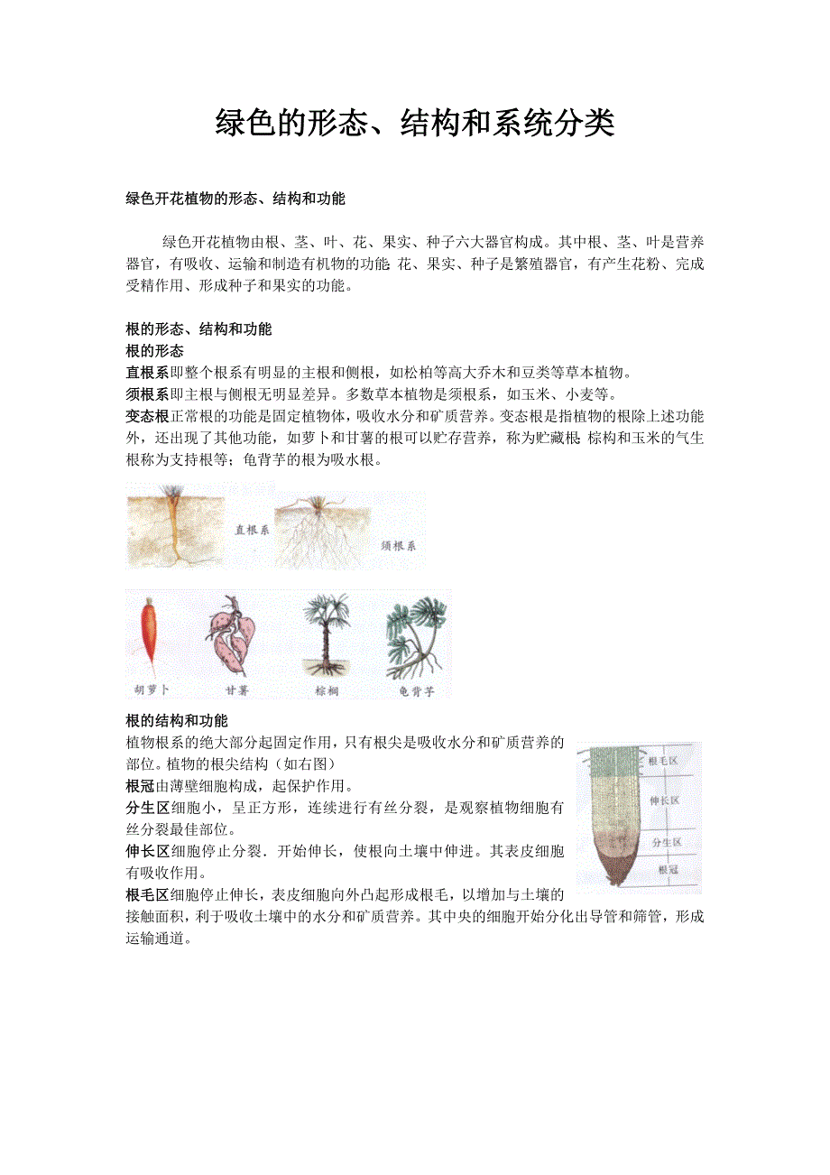 绿色的形态、结构和系统分类_第1页