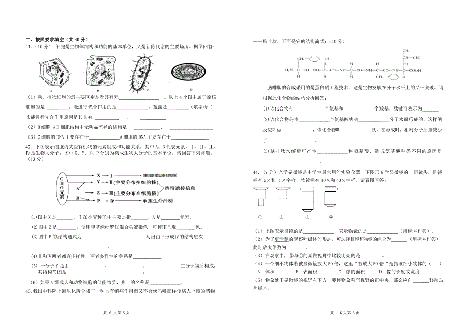 牙一中考试试题模板_第3页