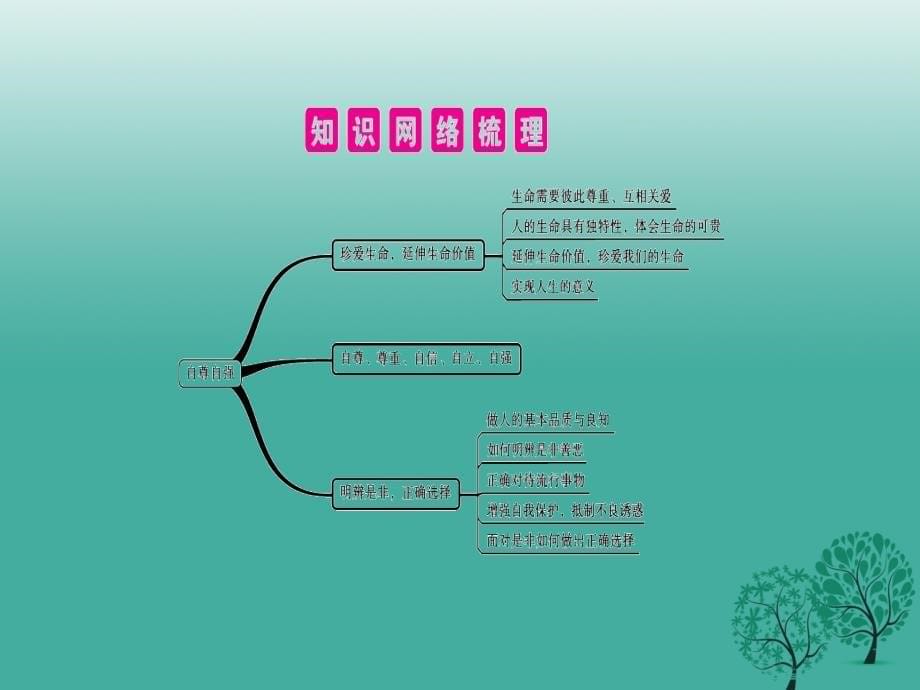 安徽专用2017年中考政治总复习第二单元自尊自爱课件_第5页