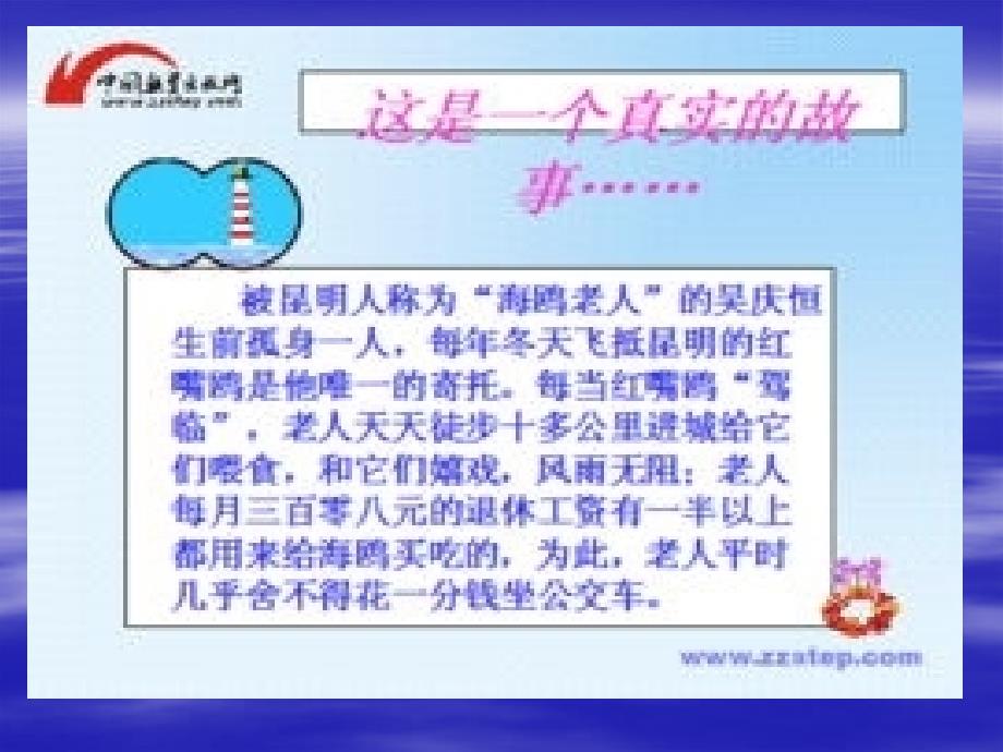 21老人与海鸥ppt_第3页