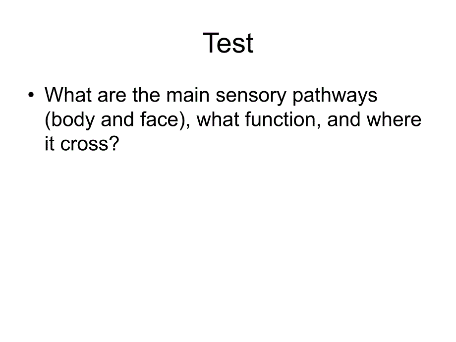 18 The Somatosensory System II Touch, Thermal Sense, …_第4页