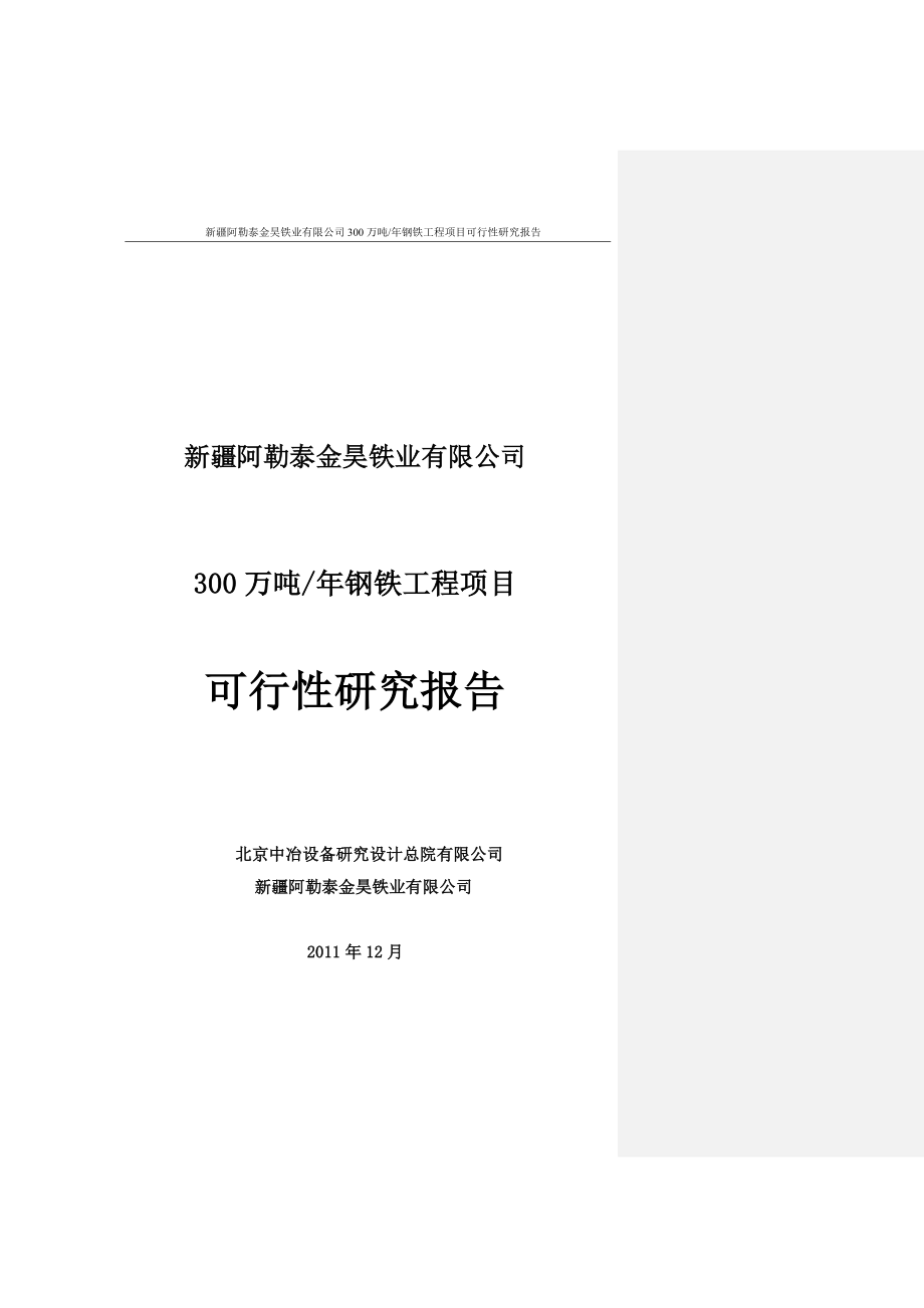 年产300万吨钢铁工程项目可行性研究报告_第1页