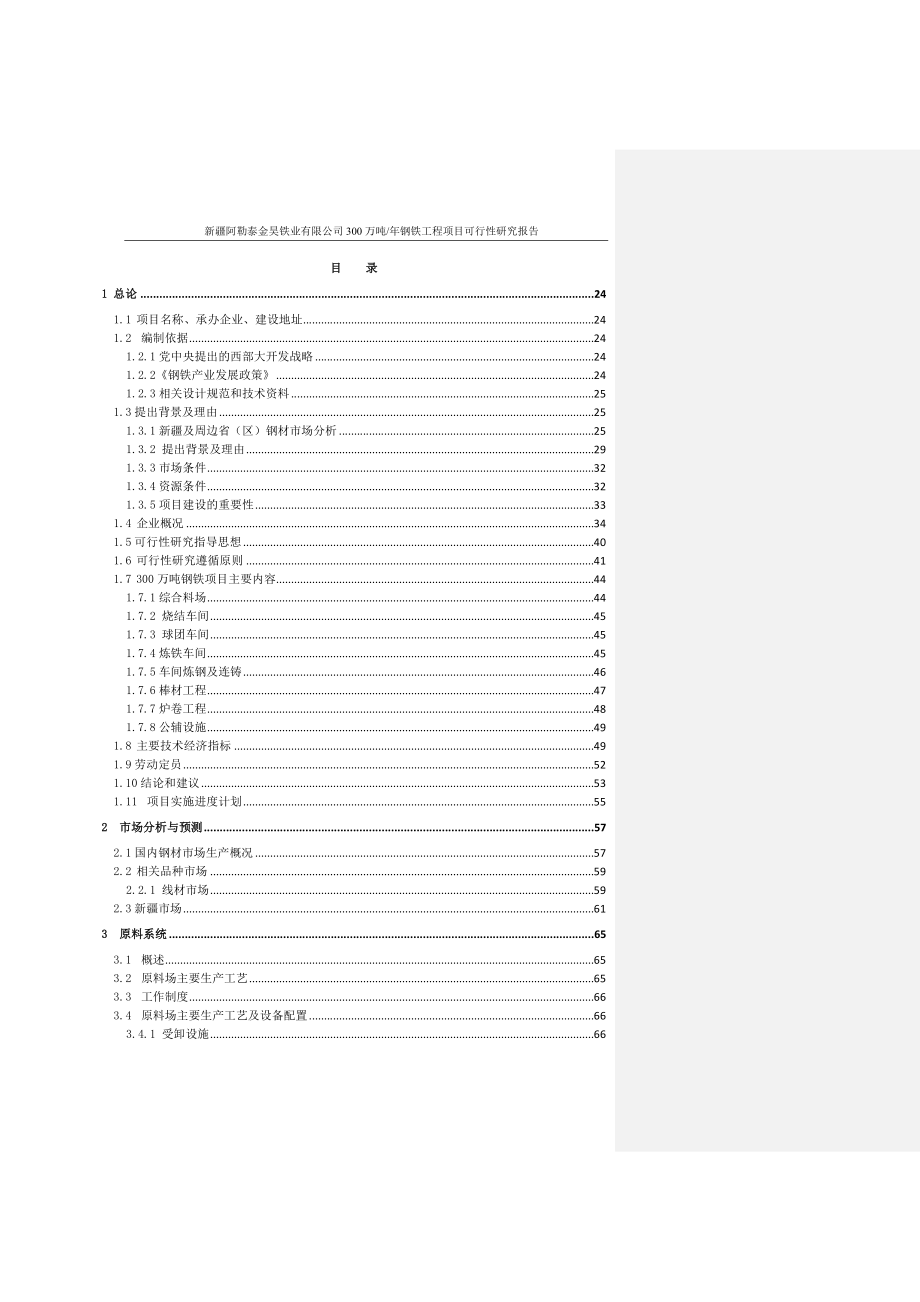 年产300万吨钢铁工程项目可行性研究报告_第2页