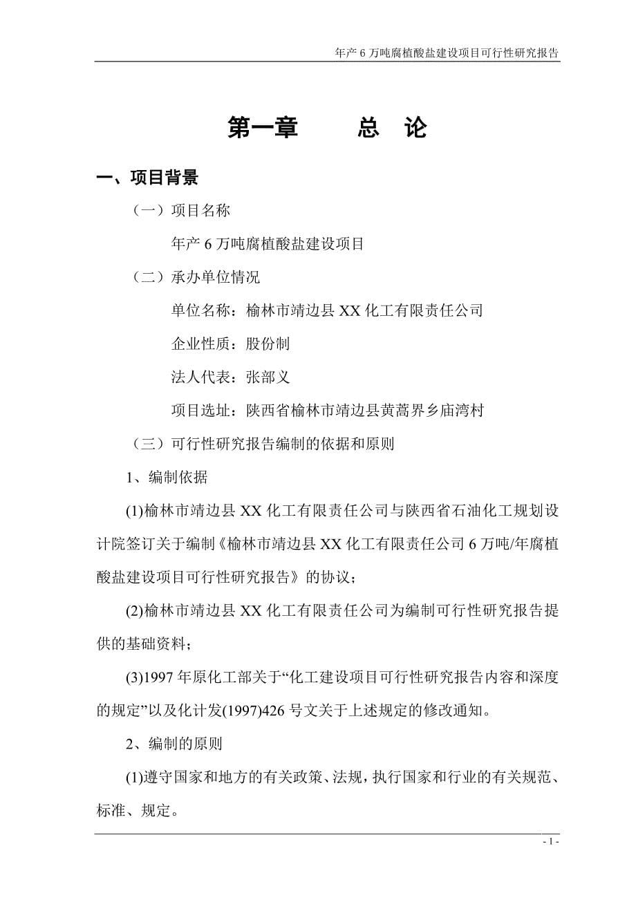 年产6万吨腐植酸盐建设项目可行性研究报告DOC P94_第5页