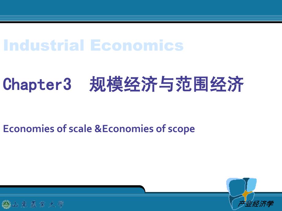 产业经济学_第1页