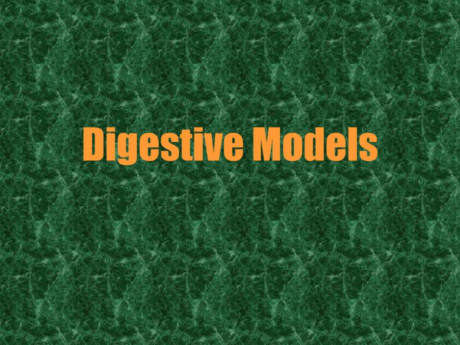 Digestive Models_第1页