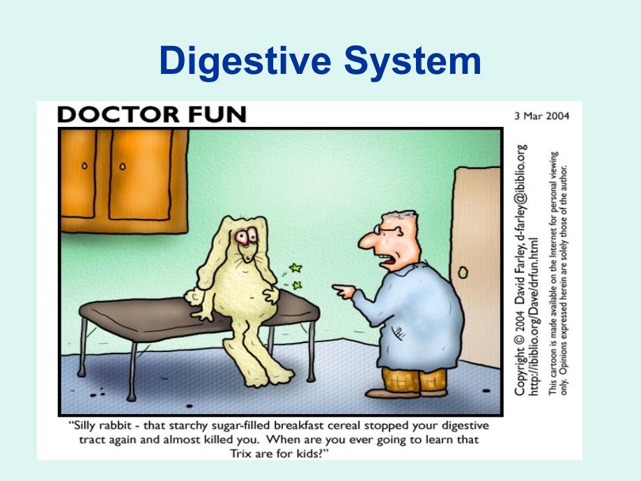 Digestive System - Solon City Schools_第1页