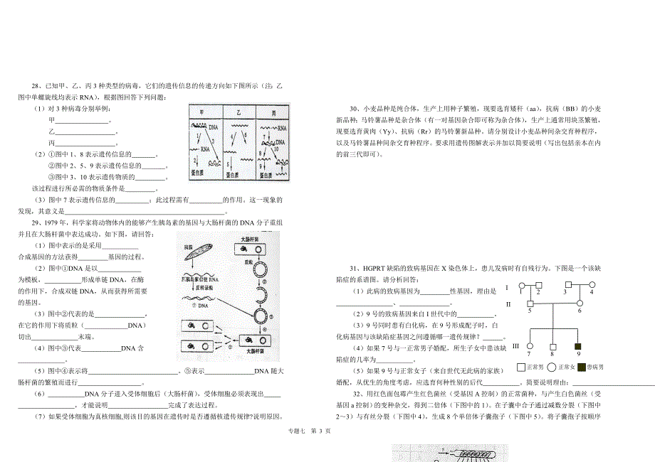 239-专题七遗传及基因工程_第3页