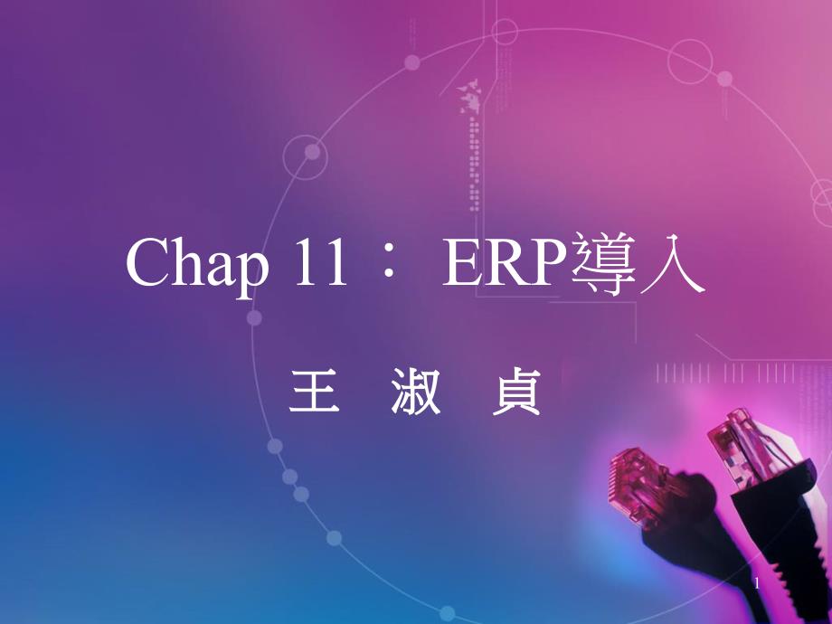 Ch11 系統導入_第1页