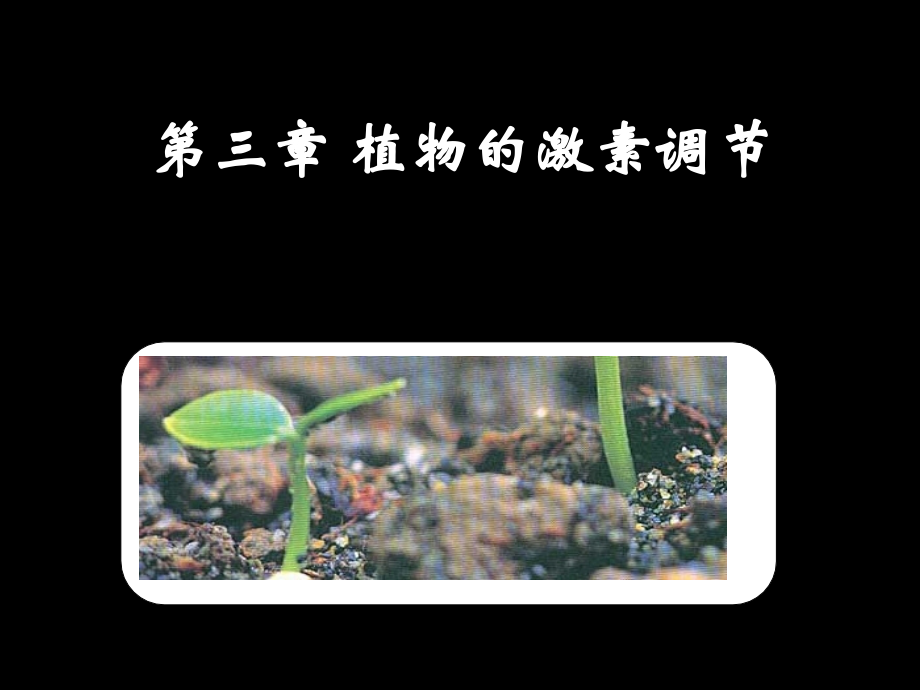 3-3其它植物激素_第1页