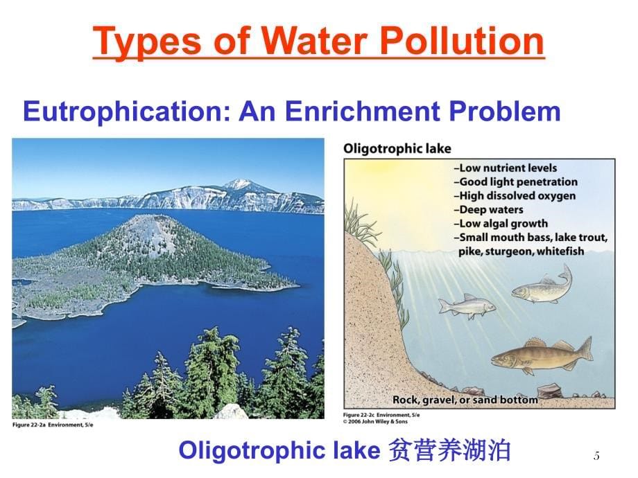 【2017年整理】09环境概论第9讲-水污染_第5页