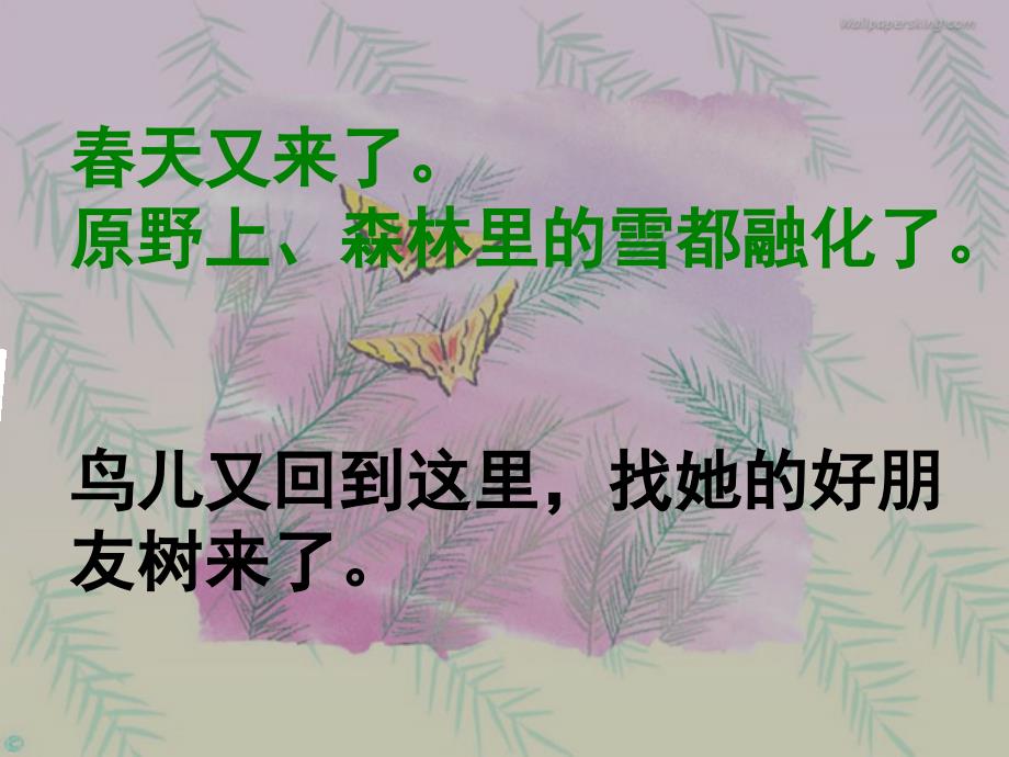 小学语文课件 去年的树_第3页