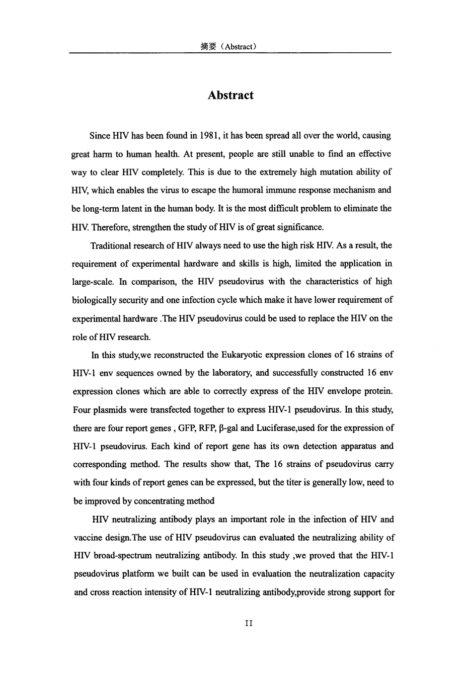 HIV1假病毒系统的构建及应用_第4页