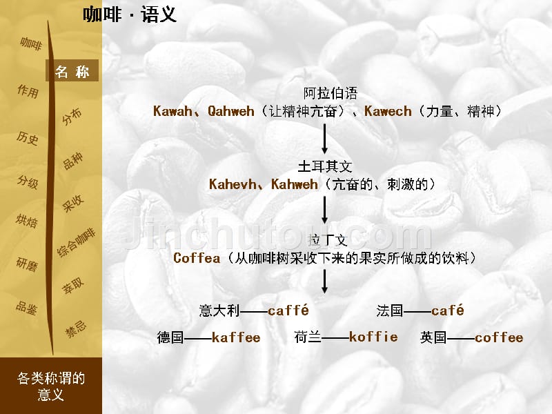 咖啡体验教程_第5页