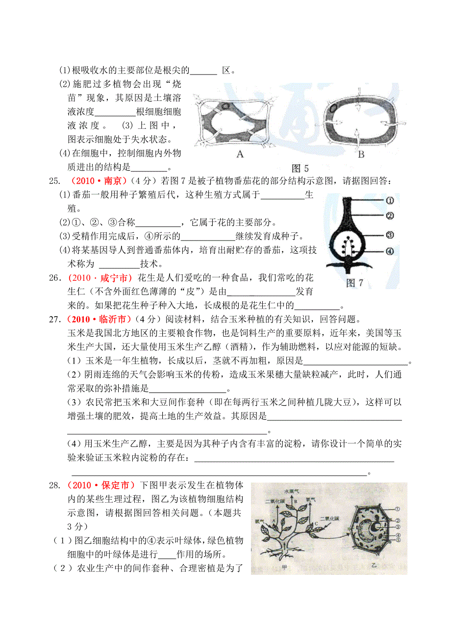 2010年中考专题汇编19(被子植物的一生)_第3页