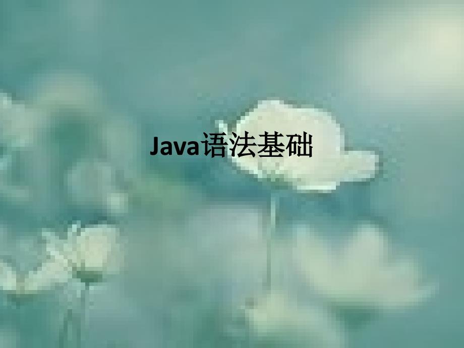 Java语法基础_第1页