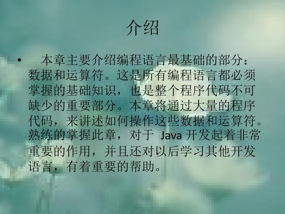 Java语法基础_第2页