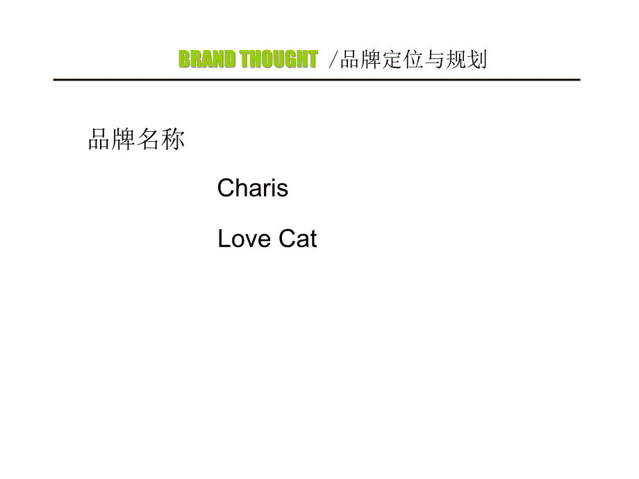 BRAND THOUGHT 品牌定位与规划_第1页