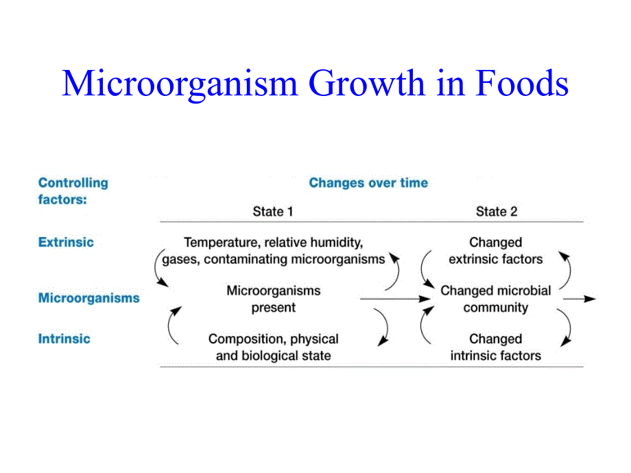 Food Microbiology_第3页