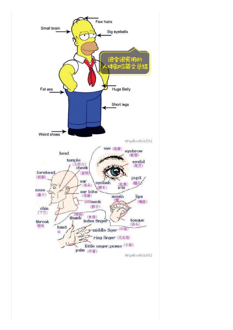 ENGLISH--九张图形象地告诉你身体各部位的英语词汇都怎么说_第3页