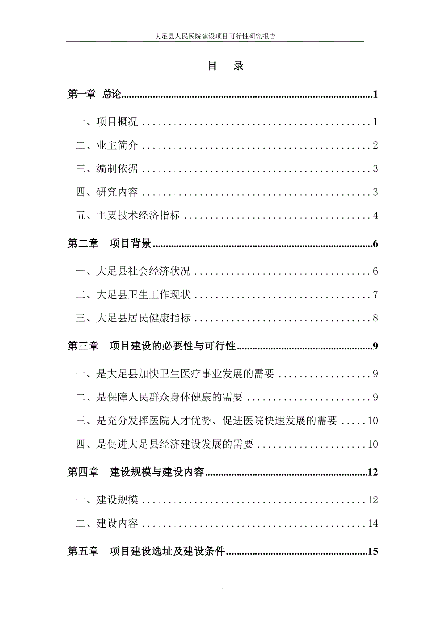 大足县人民医院可行性研究报告_第1页