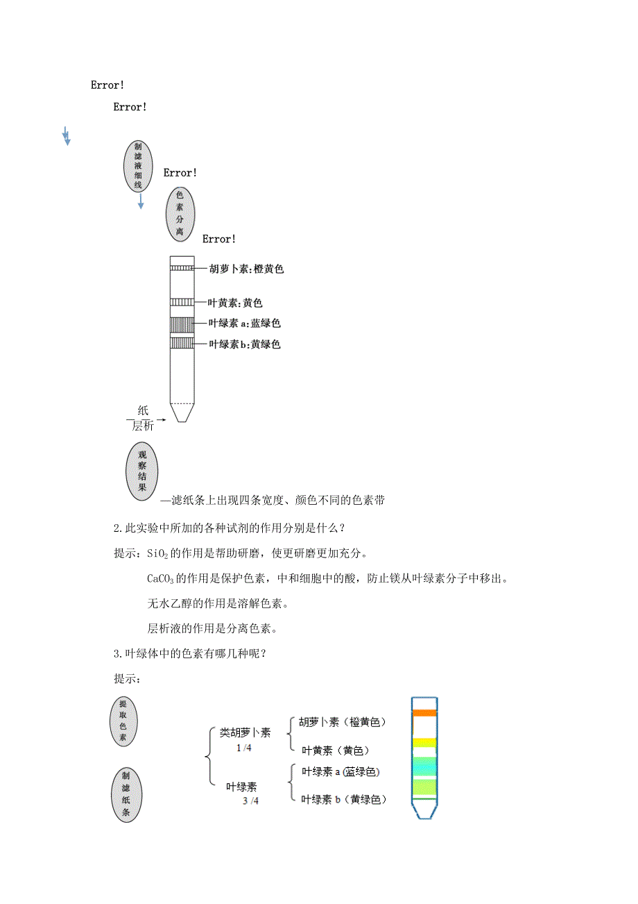 2014-2015学年高中生物 4.2.1 光合色素与光能的捕获同步导学案 苏教版必修1_第4页