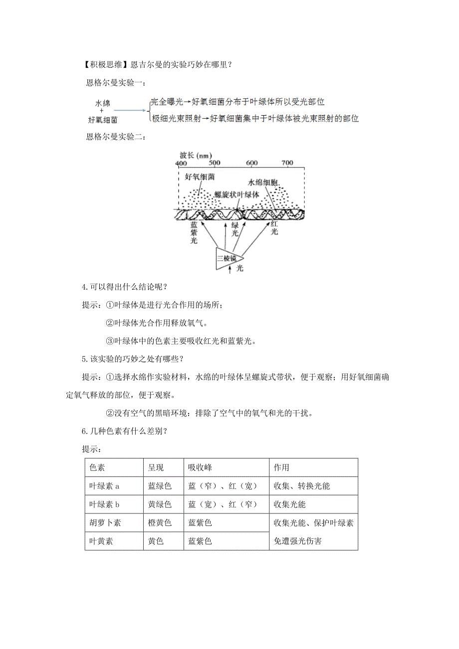 2014-2015学年高中生物 4.2.1 光合色素与光能的捕获同步导学案 苏教版必修1_第5页