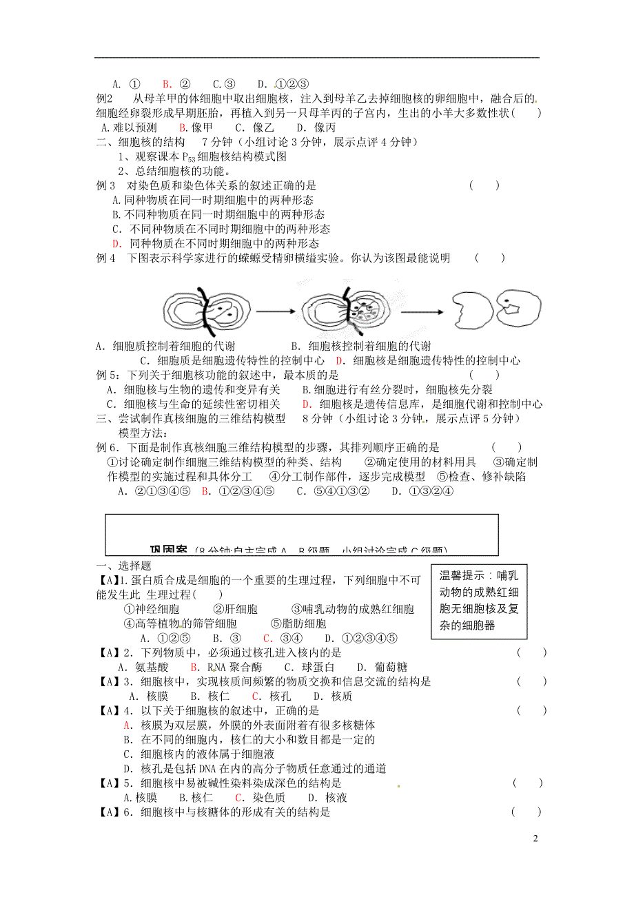 2013-2014高中生物 第三章第三节 细胞核教学案 新人教版必修1_第2页