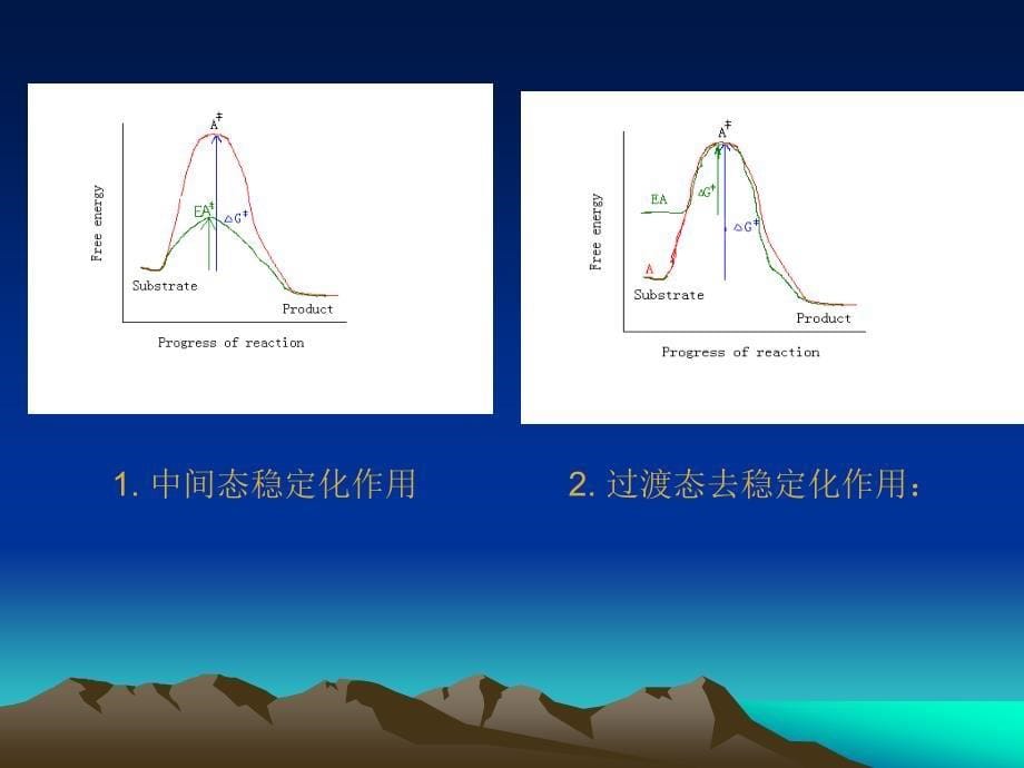 【2017年整理】10第十章酶作用的结构基础_第5页