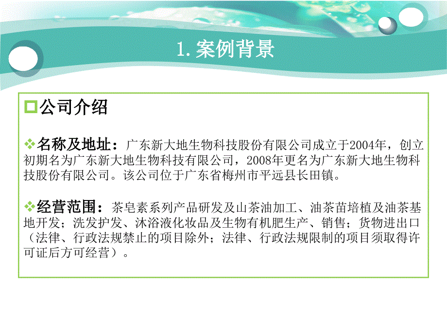 审计案例新大地1_第3页