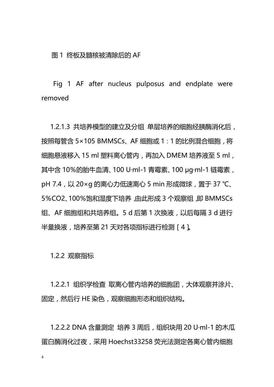 兔纤维环细胞和骨髓间充质干细胞共培养的初步研究_第4页