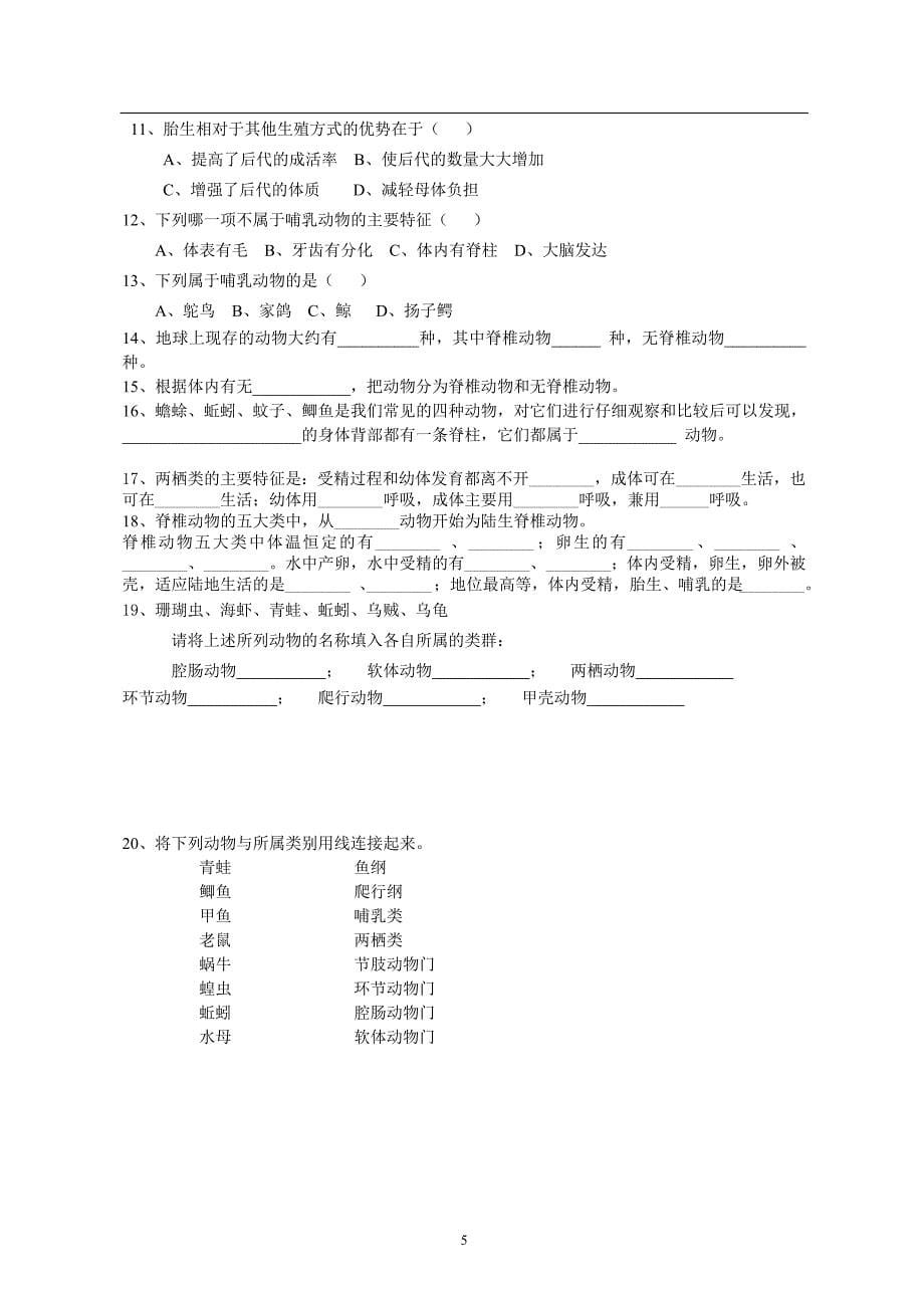 脊椎动物和无脊椎动物_第5页