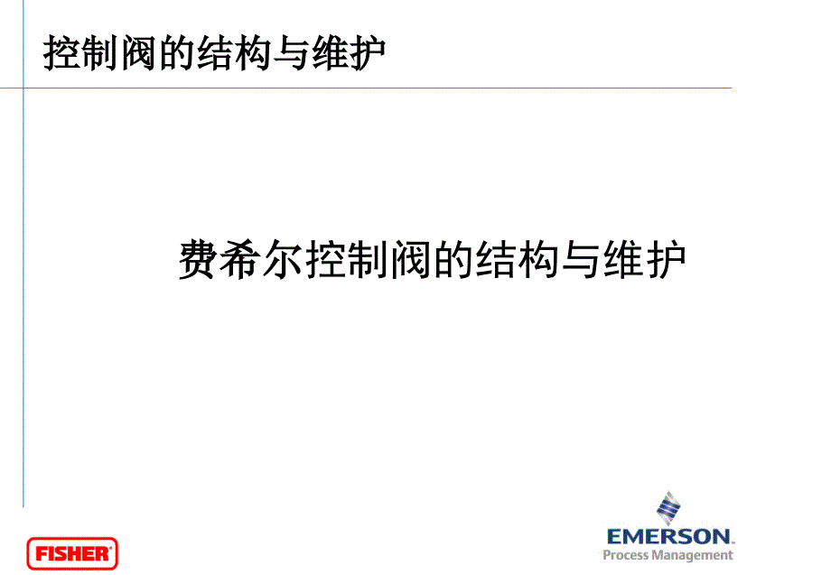 Fisher阀门结构与维护_第1页