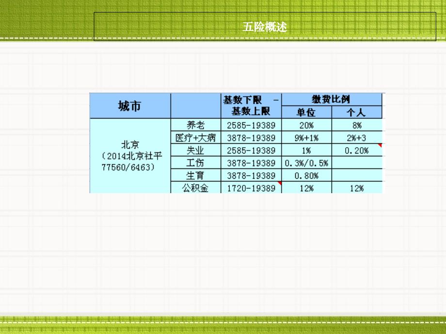 五险知识培训_第2页