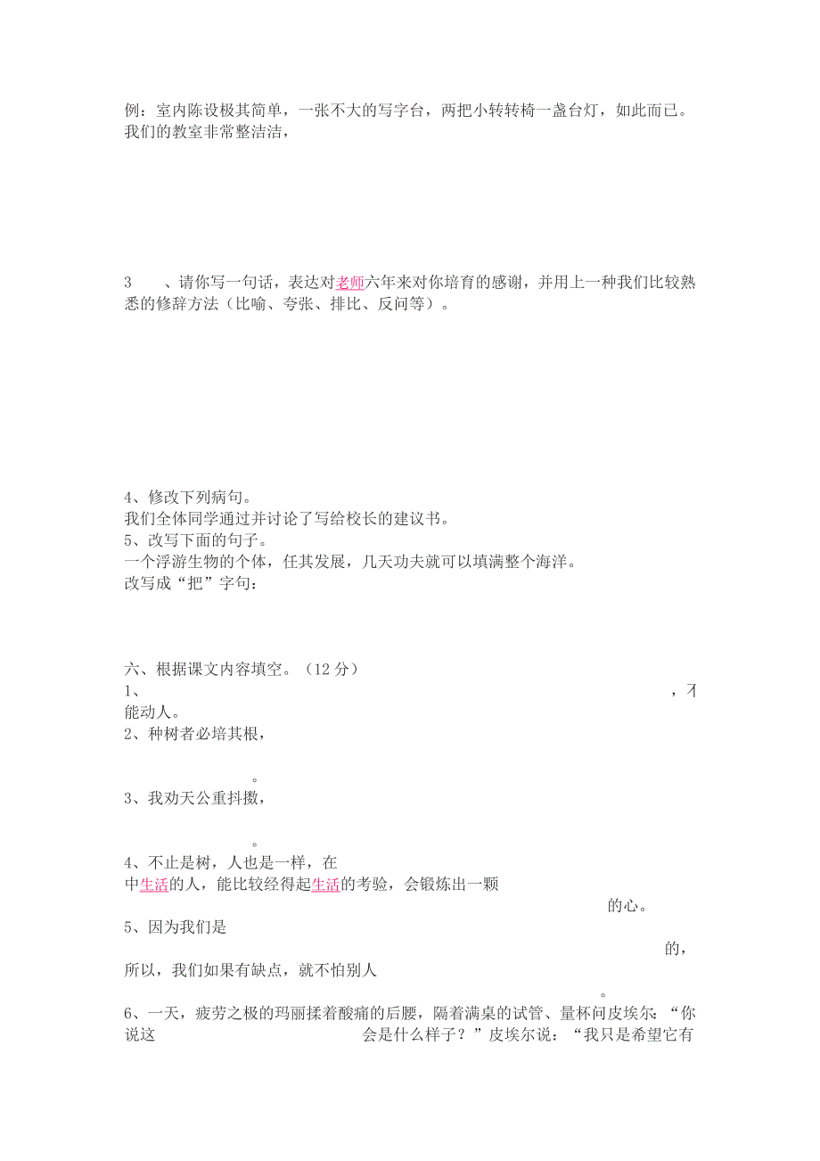 2010年小学语文毕业考试模拟试卷(四)_第2页