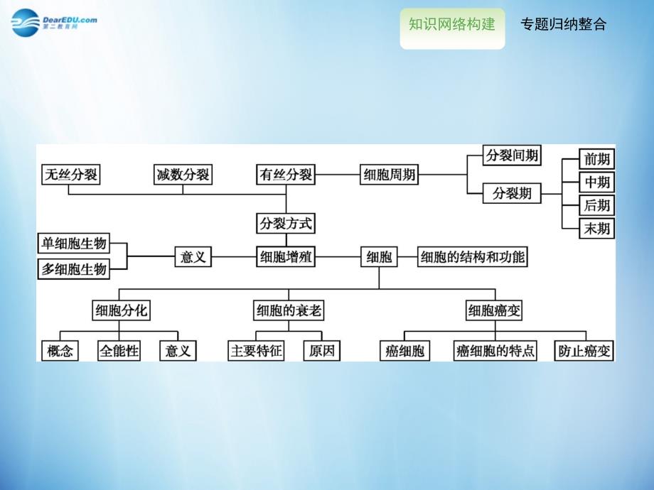 【全优设计】2014-2015学年高中生物 第6章 细胞的生命历程末整合提升课件 新人教版必修1_第2页