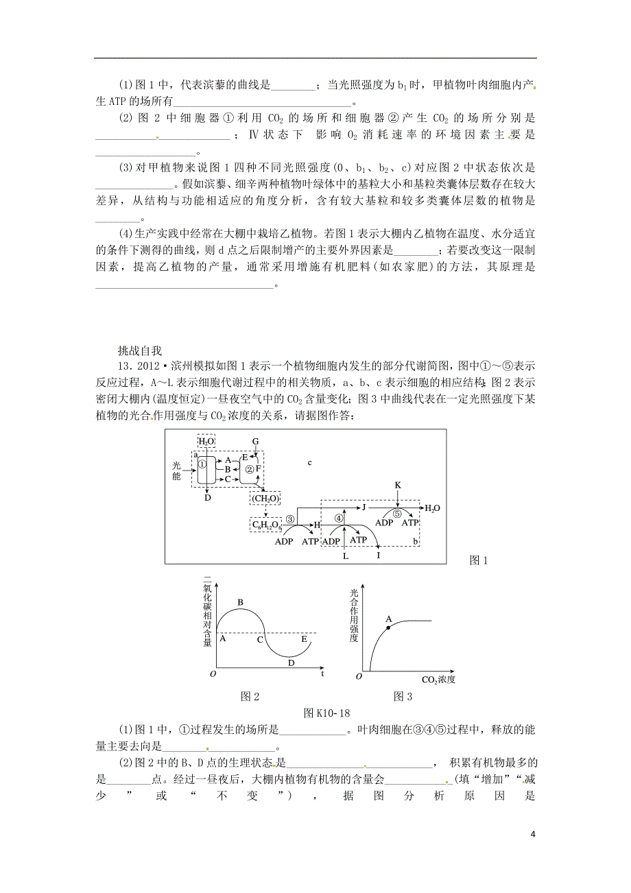 2014高考生物一轮必备（基础训练+提升训练+挑战训练）第10讲 能量之源 光与光合作用B 新人教版_第4页
