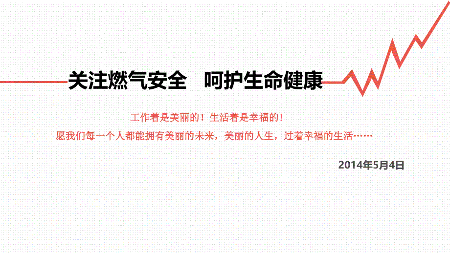 关注燃气安全呵护生命健康_第1页