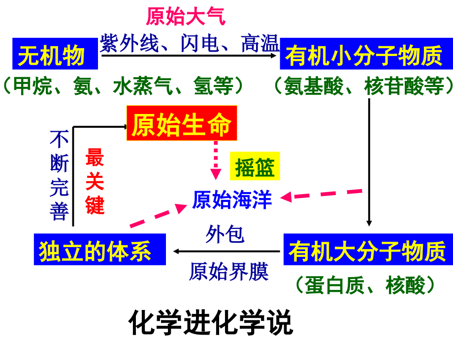 八下生物复习_第3页