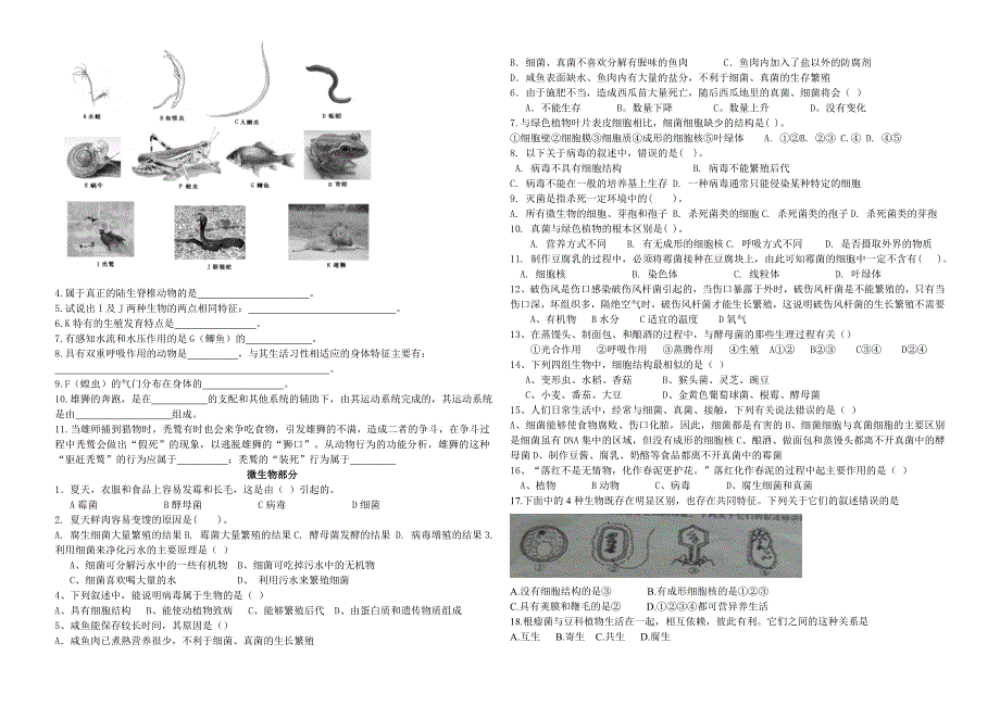 2012七上试题整理_第3页