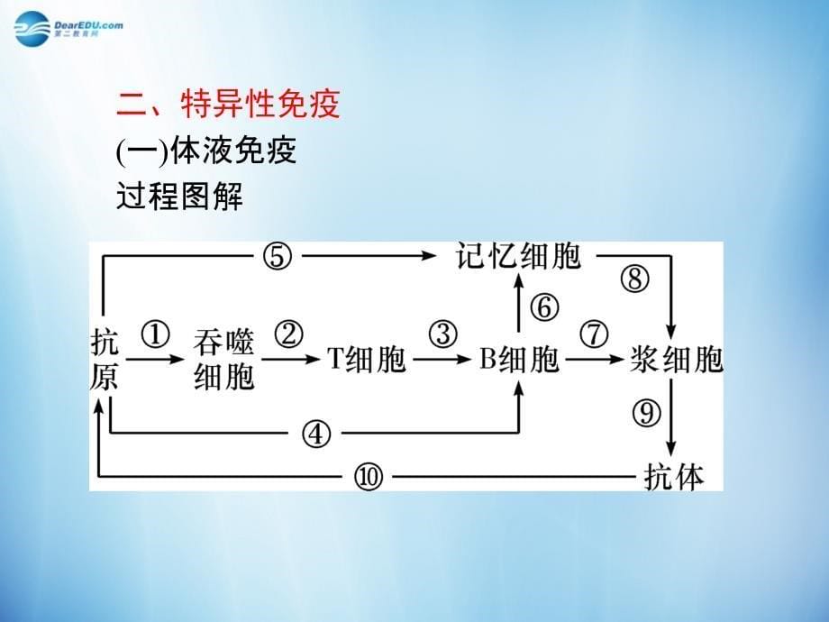 【学海导航】2014版高中生物 第5讲 免疫调节复习课件 新人教版必修3_第5页