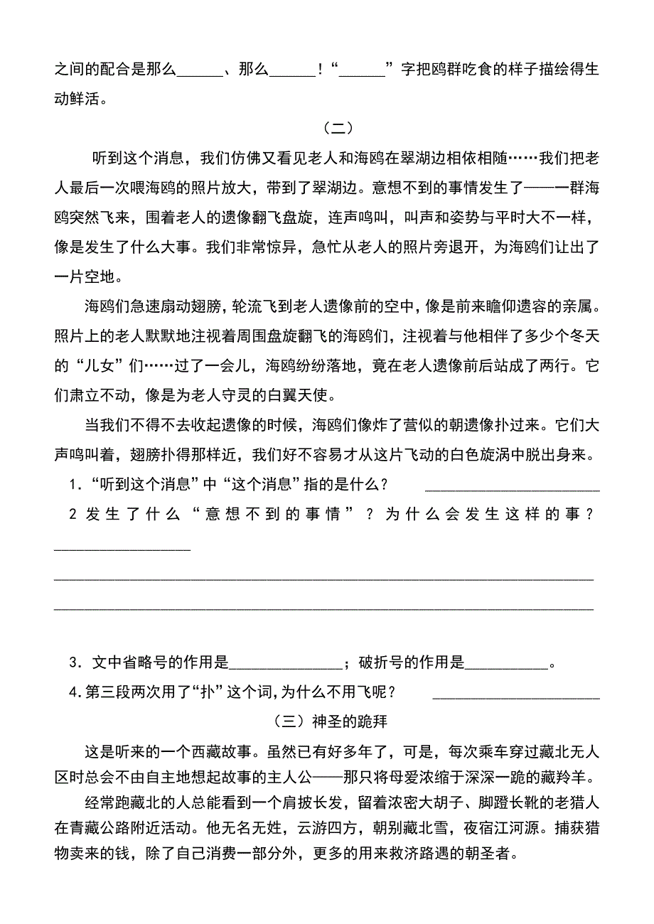 21、老人与海鸥练习题_第3页