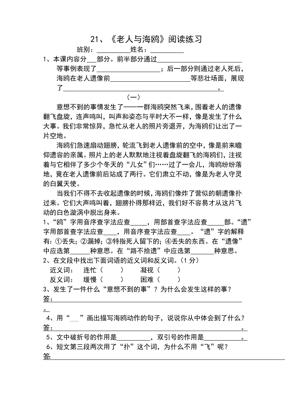 21、《老人与海鸥》阅读练习_第1页