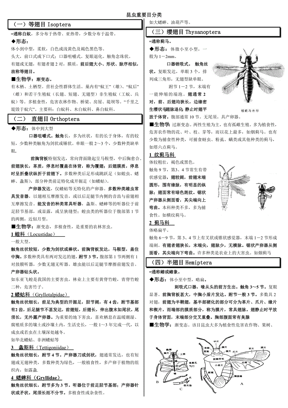 《普通昆虫学》下学期(昆虫分类学)重点知识归纳梳理_第1页