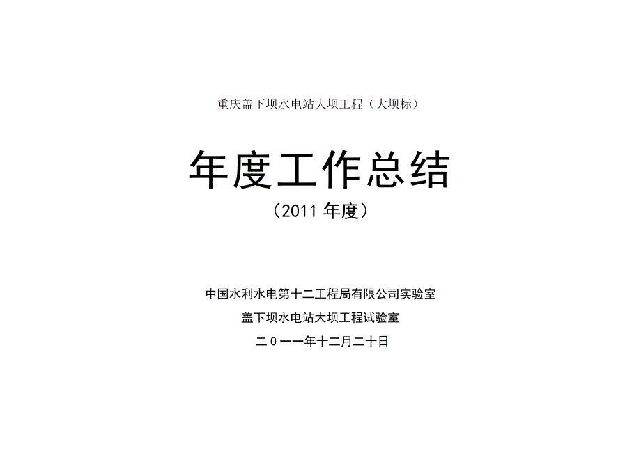 云阳盖下坝试验室年度工作总结 _第1页