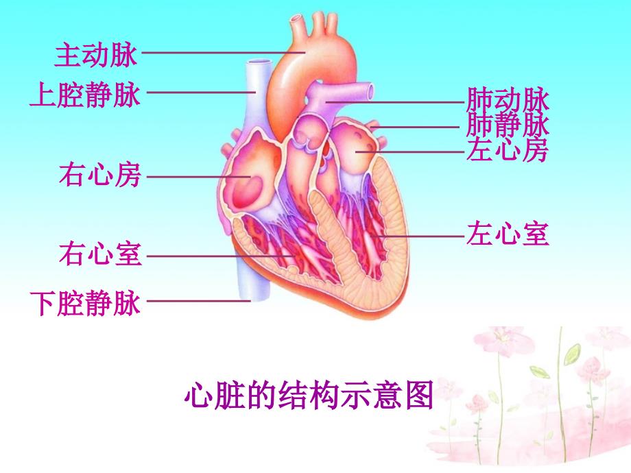 八年级生物下册 第二十五章 第二节 威胁健康的主要疾病课件3 （新版）苏教版_第4页