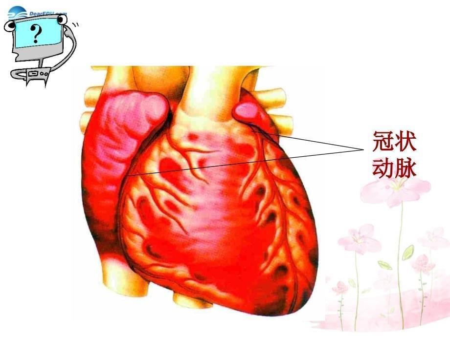 八年级生物下册 第二十五章 第二节 威胁健康的主要疾病课件3 （新版）苏教版_第5页